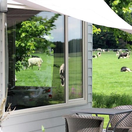 Panorama Box Op Camping De Stal Drijber Exteriér fotografie