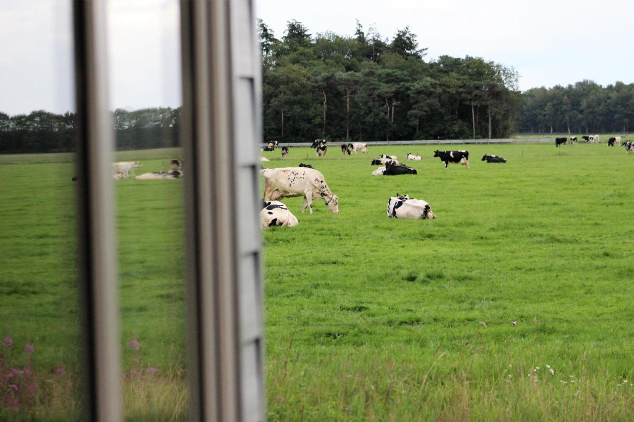Panorama Box Op Camping De Stal Drijber Exteriér fotografie